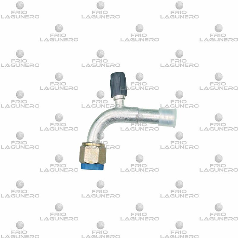 CONEXION CON PUERTO #10