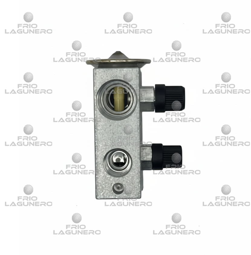 VALVULA DE EXPANSION 2 PUERTOS KENWORTH 